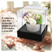 將圖片載入圖庫檢視器 Elegant Japanese Hair Accessory Ornament Set for Women, 11-Piece Floral Accessories – Perfect for Kimono, Featuring peony, plum, Chirimen and Ribbon, Wedding, Graduation & Special Japanese Occasions