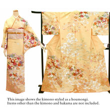 將圖片載入圖庫檢視器 Washable Houmongi Kimono & Solid Hakama 2-Piece Set for Women – Elegant Japanese Formal Wear for Ceremonies & Special Occasions