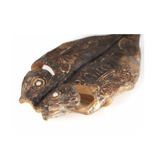 Load image into Gallery viewer, Obidome, Grilled Horse Mackerel –– Unique, inspired by a perfectly grilled horse mackerel