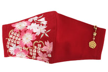 將圖片載入圖庫檢視器 Red Color Embroidery 3D Face Mask With Mask Charm - 7 Design Choices