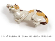 画像をギャラリービューアに読み込む, Obidome for Japanese Traditional Kimono - Mikeneko Cat