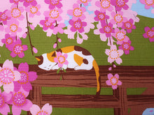 画像をギャラリービューアに読み込む, Small Furoshiki, Calico Cat Mike Hanami Sakura Cherry blossoms