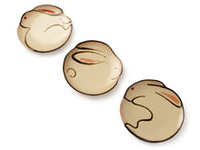 Load image into Gallery viewer, Tiny plate series "Rabbit" - 3 Plate SET