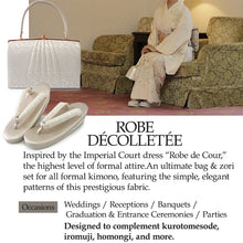 画像をギャラリービューアに読み込む, Robe décolletée Formal Kimono Bag &amp; Zori Set【Silver】 – Silver Aurora Brocade Evening-Wear Accessories for Kimono / Japanese Formal Wear / for TEA ceremony
