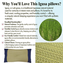 画像をギャラリービューアに読み込む, Premium Japanese Igusa Rush Grass Sleep Pillow – Kyushu Natural Igusa Pillow with Memory-Foam Support, Deodorizing &amp; Humidity Control, Flat Hollow Design
