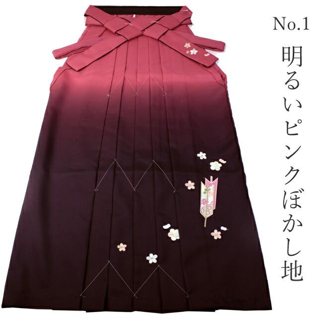 Women's Hakama Skirt  for Japanese Traditional Kimono - Arrow Feather Embroidery Gradation Color