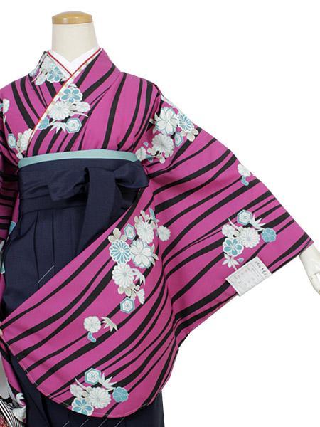 Women's Washable Two-Shaku-Sleeve Kimono: Japanese Traditional Clothes - Purple Curvy Lines Reineckea Carnea Flowers