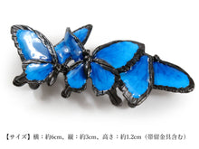 画像をギャラリービューアに読み込む, Obidome for Japanese Traditional Kimono - Blue Mountain Butterfly
