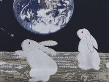 Load image into Gallery viewer, Hanhaba-Obi, Reversible, Women, Dark navy, Beige, Earth and rabbits

