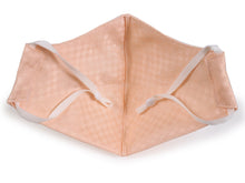Load image into Gallery viewer, IRODORI Silk 3D Face Mask - Salmon Pink
